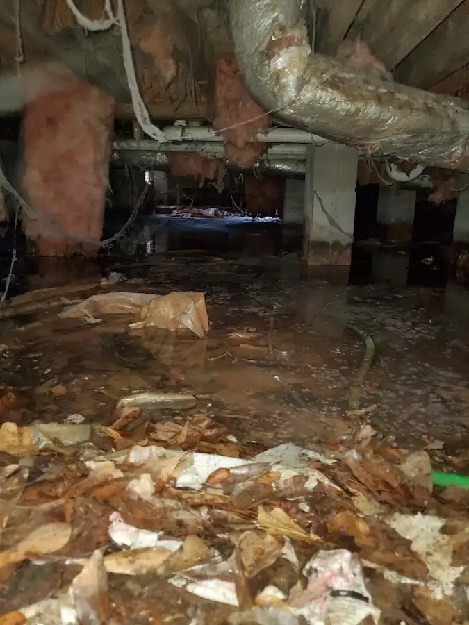 Crawl space flood assessment for Leak Detection & Repair in Antioch