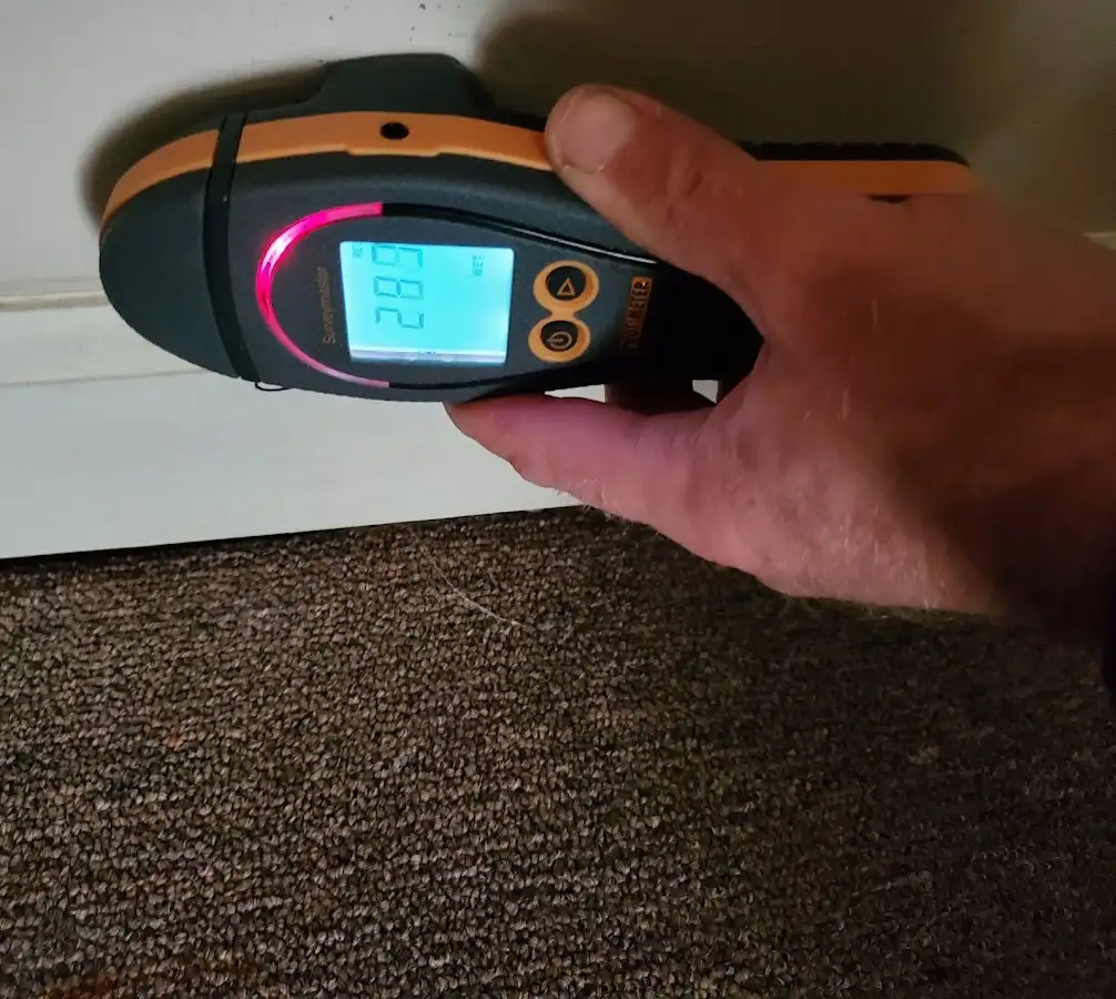 Moisture detection at baseboard during Sewage Cleanup & Sanitation in Antioch